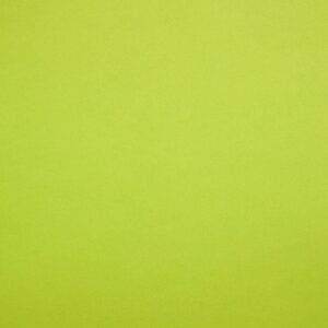 Sirio Color - Lime, 170g, Pliego 70x100