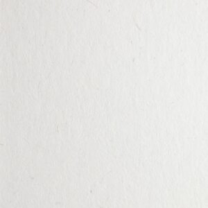 Woodstock - Bianco, 80g, Pliego 70x100