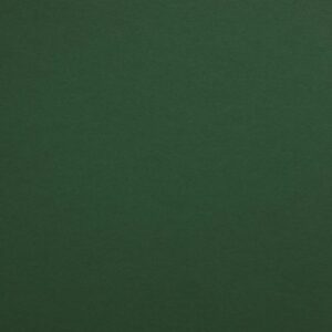 Sirio Color - Foglia, 80g, Pliego 70x100